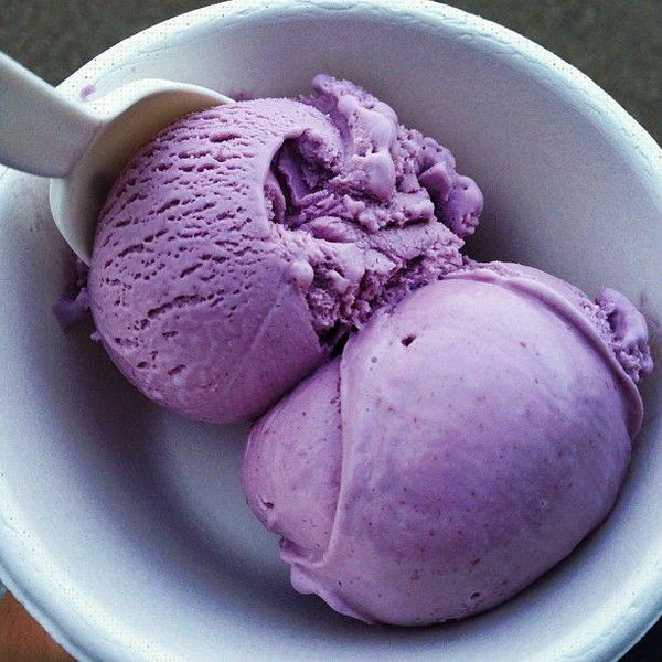 KR Wild Berry Sorbet - eCreamery