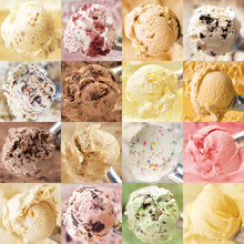 Load image into Gallery viewer, Twelve Best Ice Cream Collection
