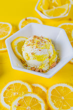 Load image into Gallery viewer, Twelve Best Flavors (The Bite Stuff, Spring 2021, The Greatest Hits)