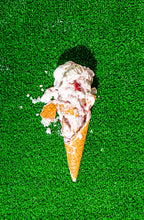 Load image into Gallery viewer, Twelve Best Flavors (The Bite Stuff, Spring 2021, The Greatest Hits)