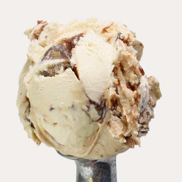 Peanut Butter Cup Ice Cream