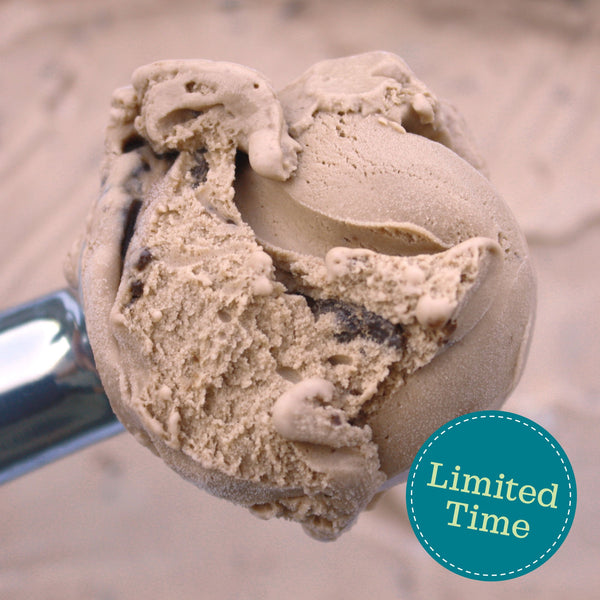 Chocolate Hazelnut Biscotti Gelato (Limited Time) - eCreamery