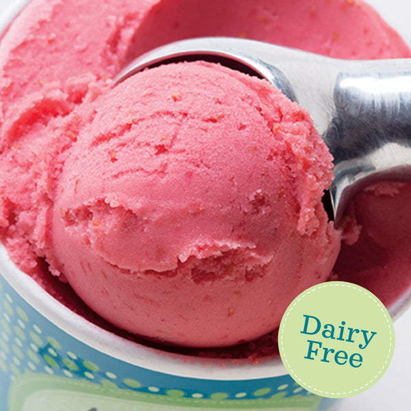 Raspberry Sorbet - eCreamery