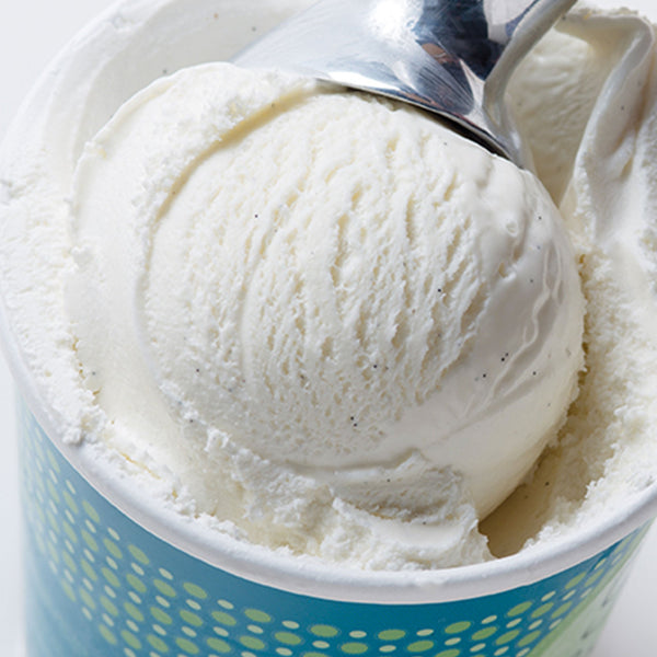 Vanilla Bean Ice Cream - eCreamery